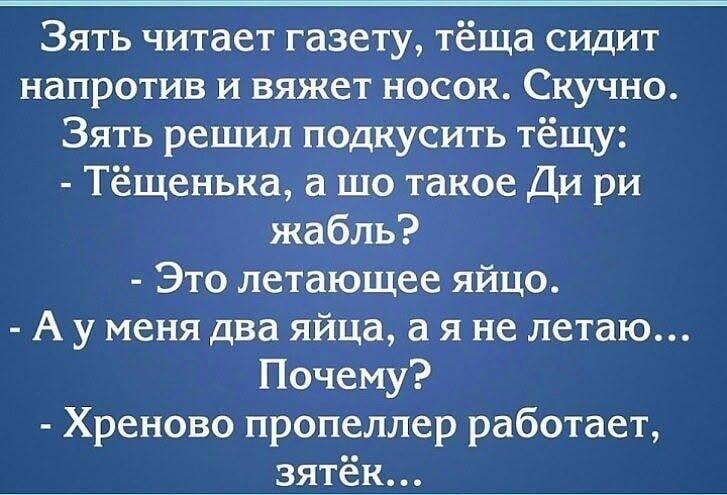 Зять и теща: диалог о летающих яйцах