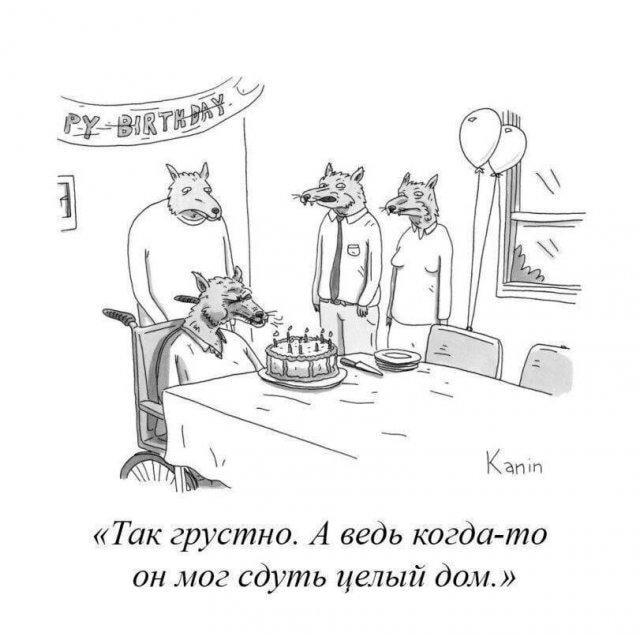 Волк-именинник в инвалидной коляске