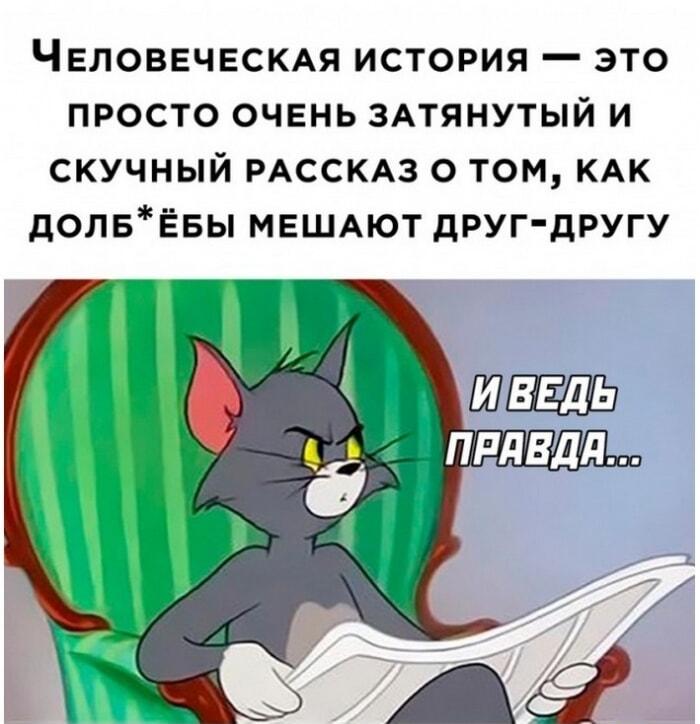 Человеческая история — затянутый рассказ о долбоёбах
