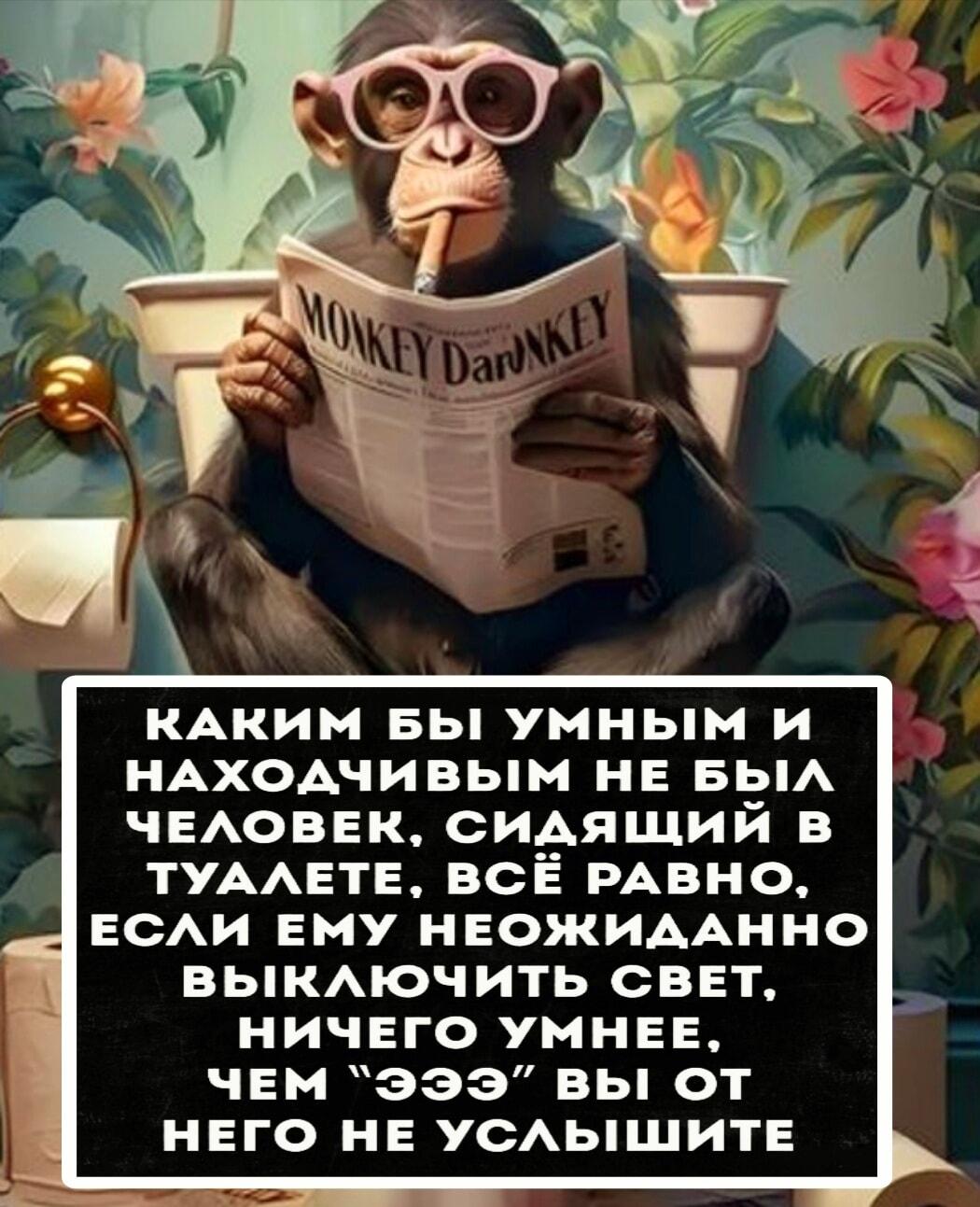 Обезьяна читает газету в туалете