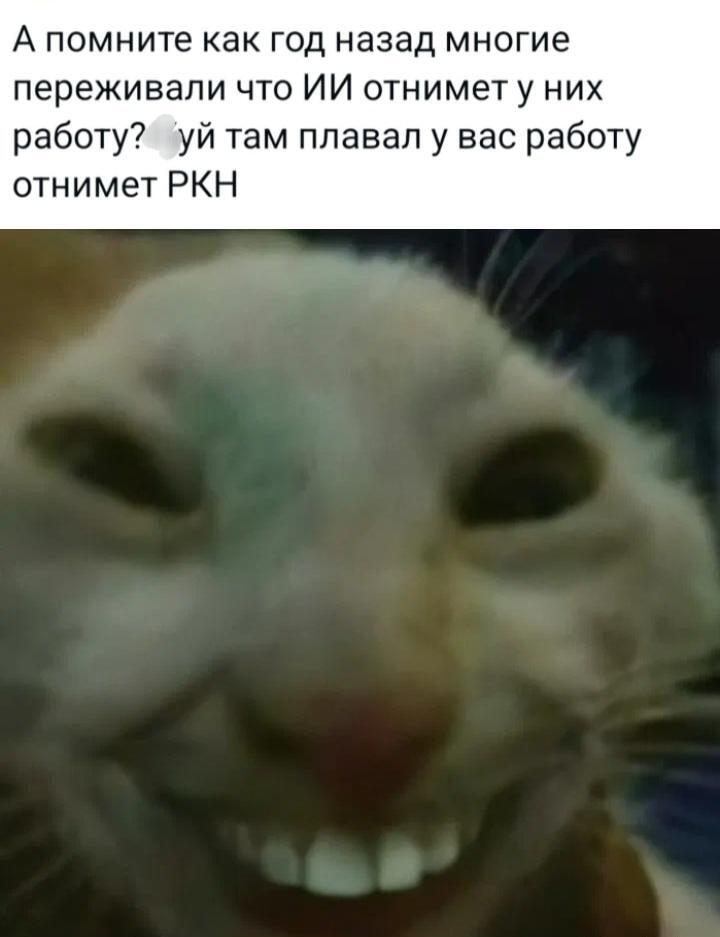 ИИ работу не отнял, а вот РКН...
