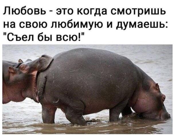 Любовь - это когда...