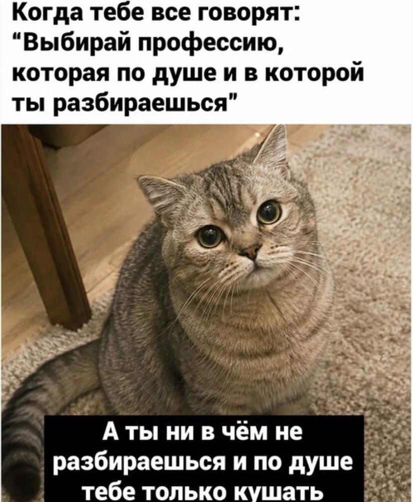 Когда говорят: выбирай профессию по душе