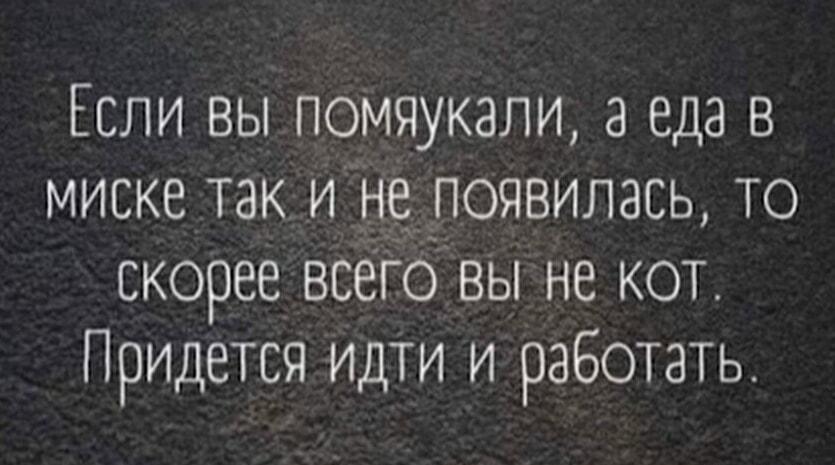 Мем #416e18f3