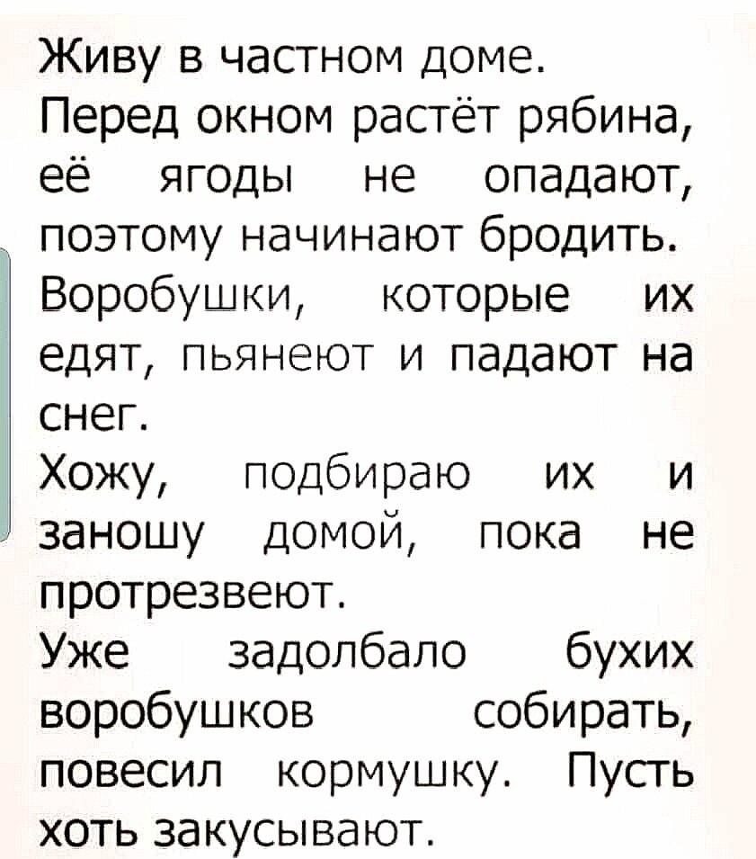 Пьяные воробьи на рябине: проблема или решение?