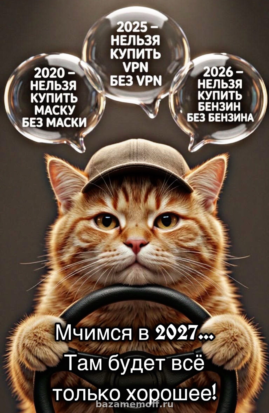 Кот за рулем и предсказания будущего