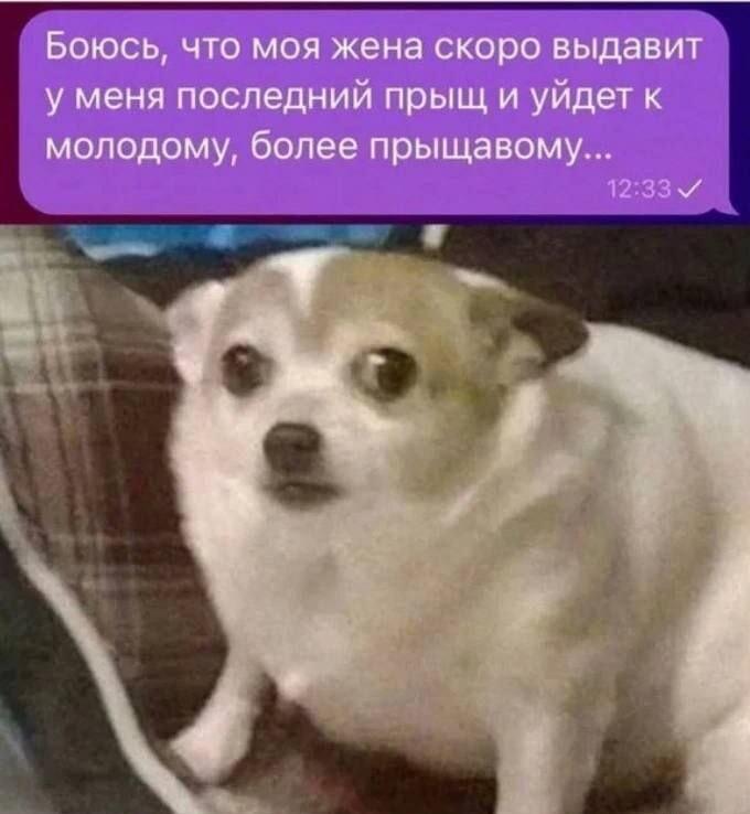Жена уйдет к более прыщавому?