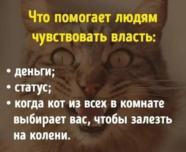 Что помогает людям чувствовать власть?