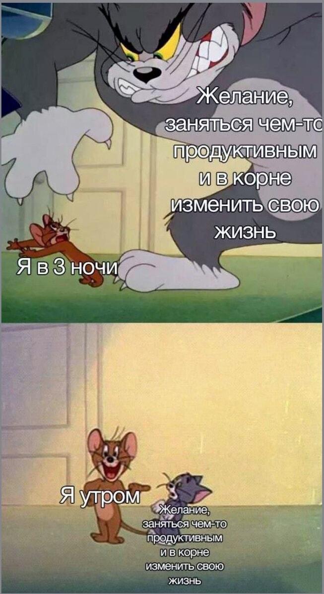 Желание изменить жизнь: ночь против утра