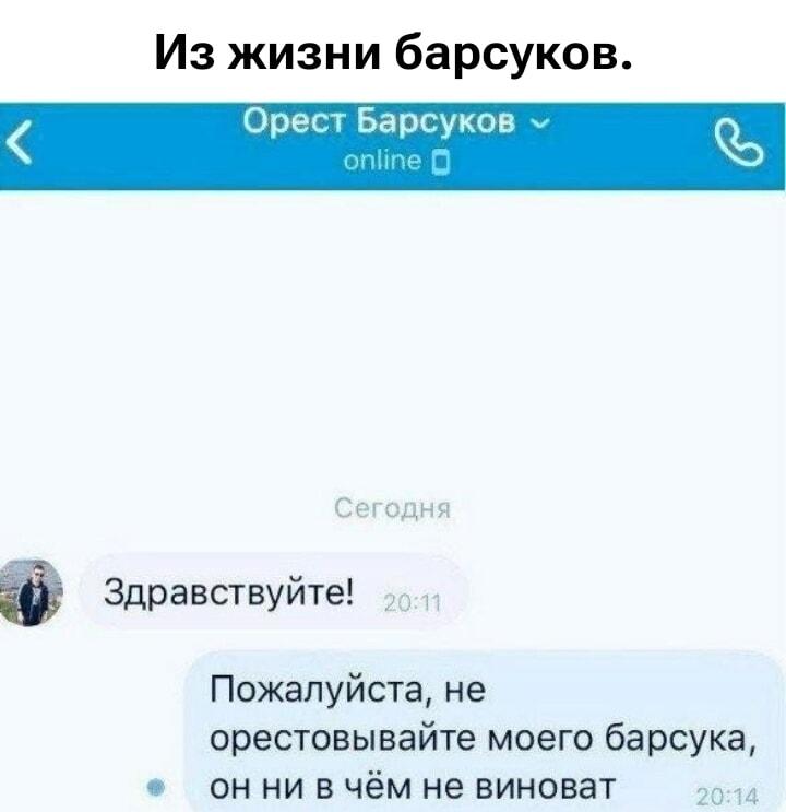Просьба не арестовывать барсука