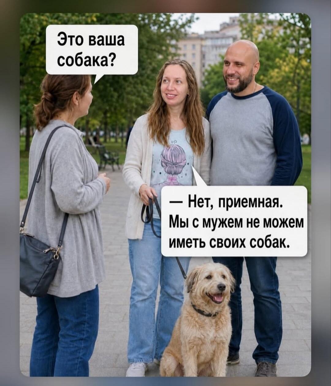 Собака - не наша, мы её не можем иметь