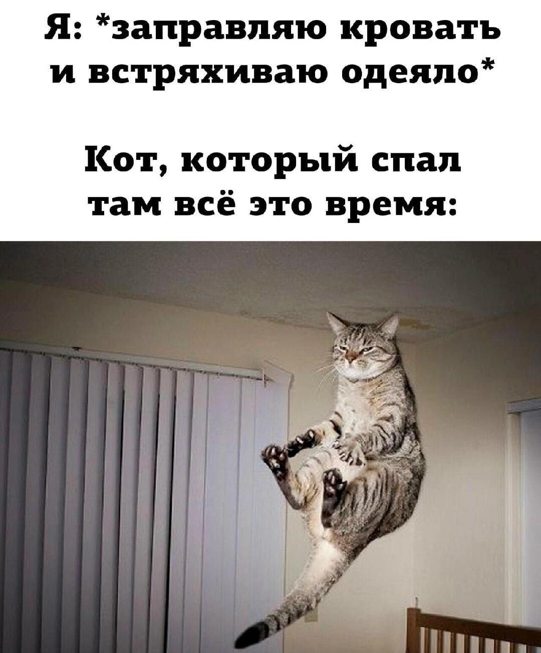 Мем #736c3f25