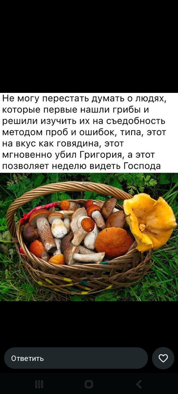 Первые грибники - герои или безумцы?