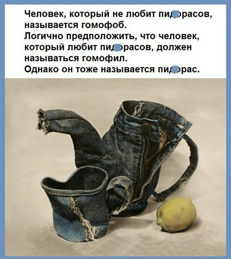 Логика юмора: гомофобия и гомофилия