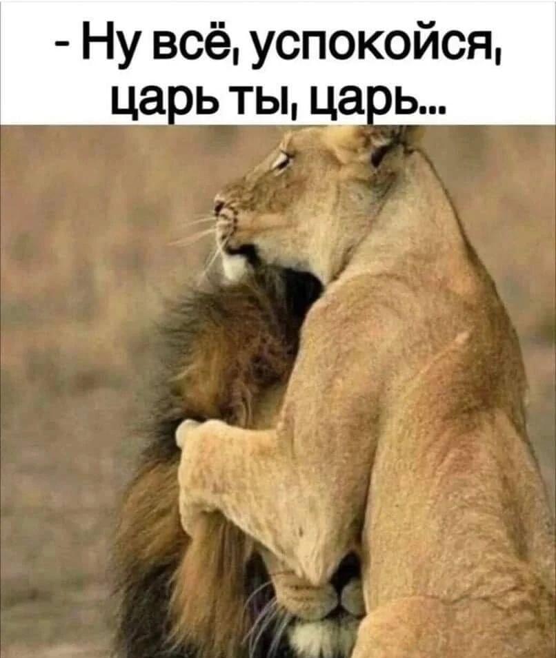 Успокойся, царь ты, царь...