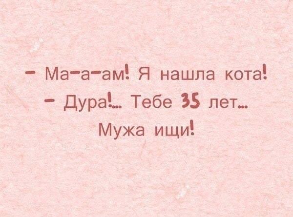 Мама, я нашла кота! Дура, тебе 35 лет...