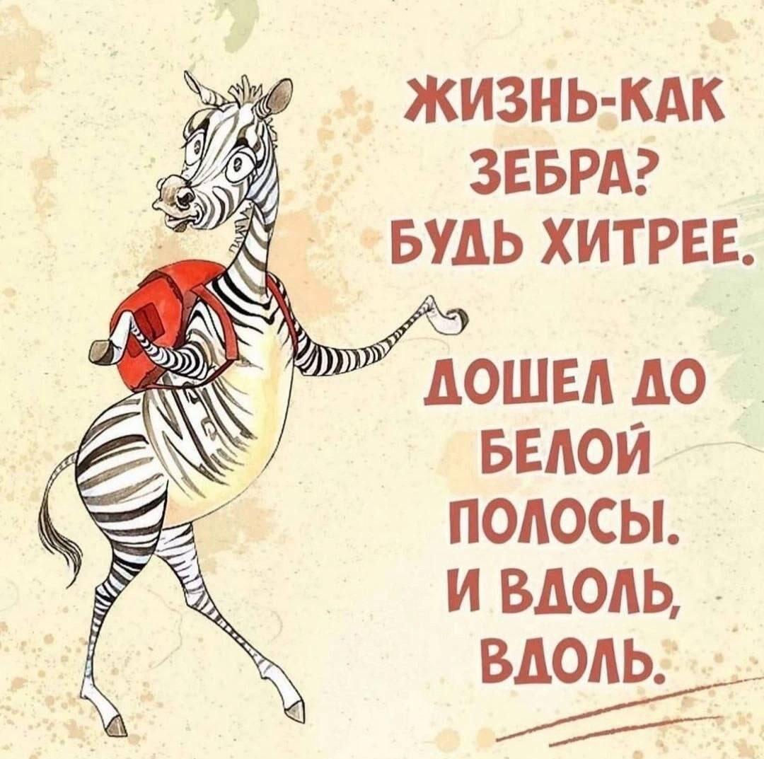 Жизнь как зебра: будь хитрее!