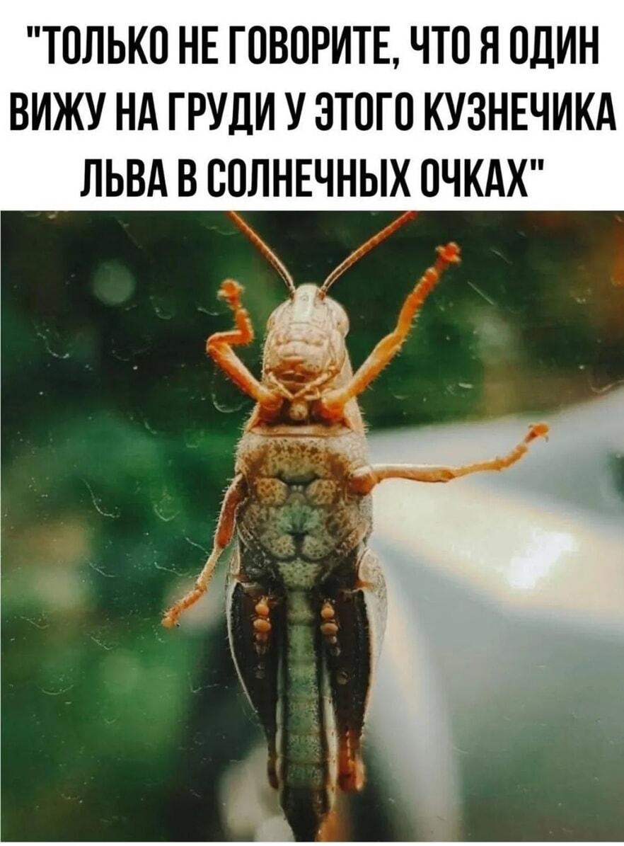 Не говорите, что я один вижу это