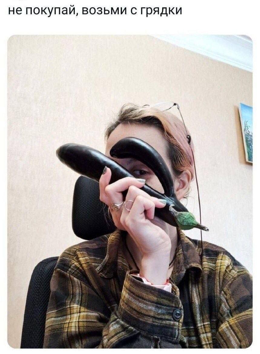 Баклажан с грядки лучше, чем из магазина