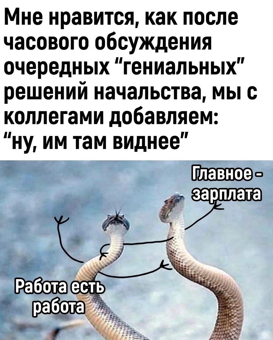Гениальные решения начальства и наши «ну, им виднее»