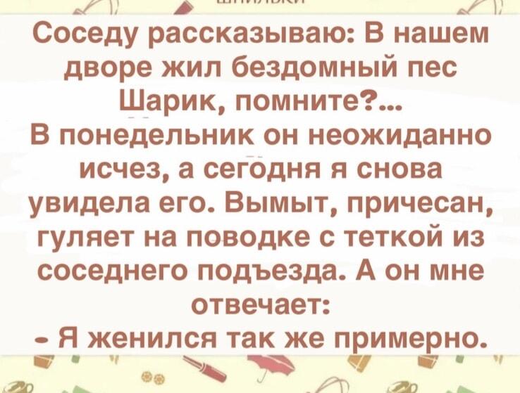 Соседский пес женился