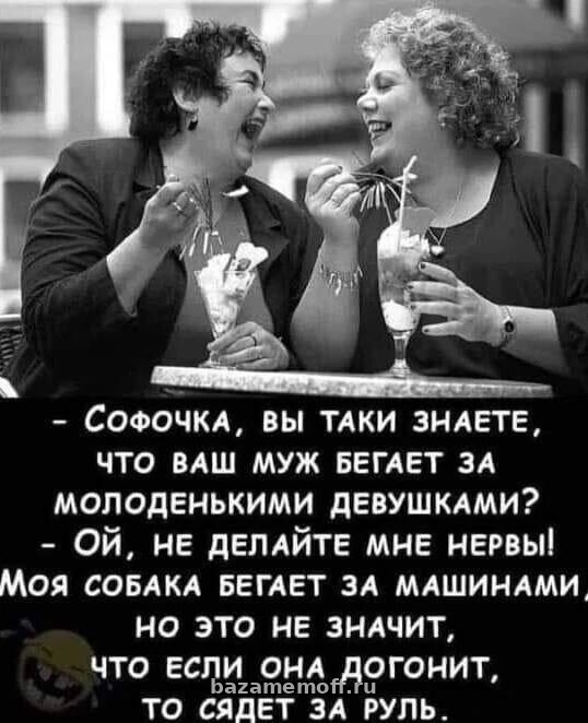 Мужья и собаки: две параллели