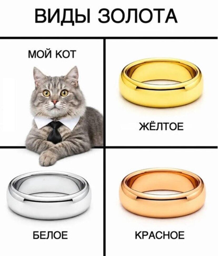 Мем #d2076621