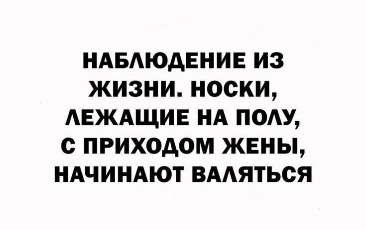 Мужское наблюдение: носки валяются только при жене? Правда жизни!