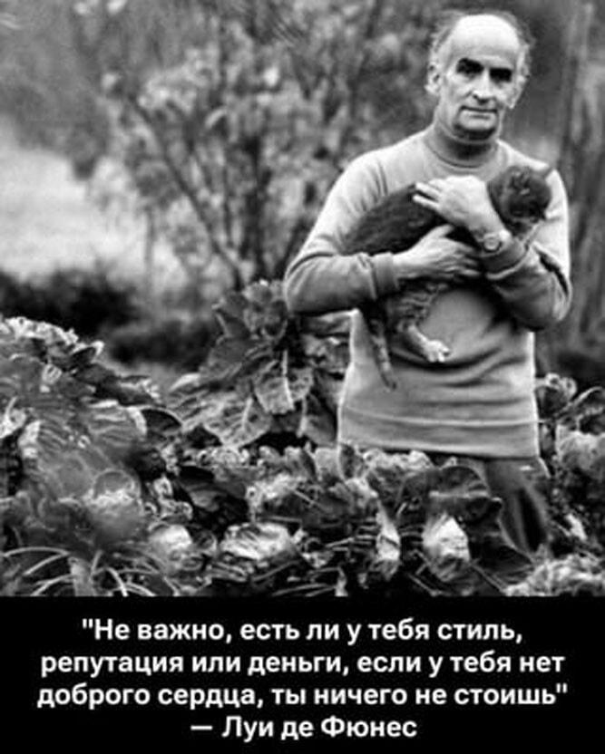 Луи де Фюнес с котиком: мудрые слова о доброте