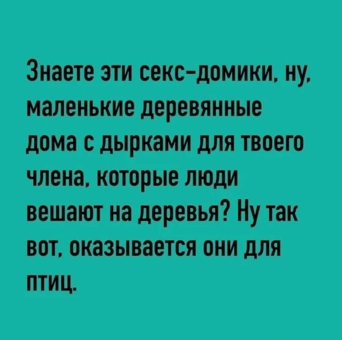 Секс-домики для птиц: шок-контент или просто скворечники?