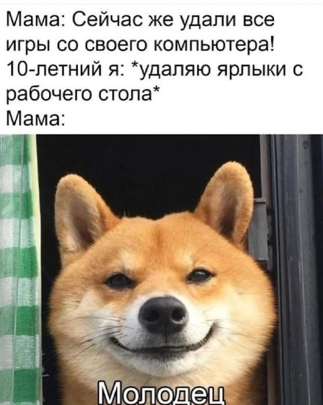 Когда мама просит удалить игры: хитрый план 10-летнего гения