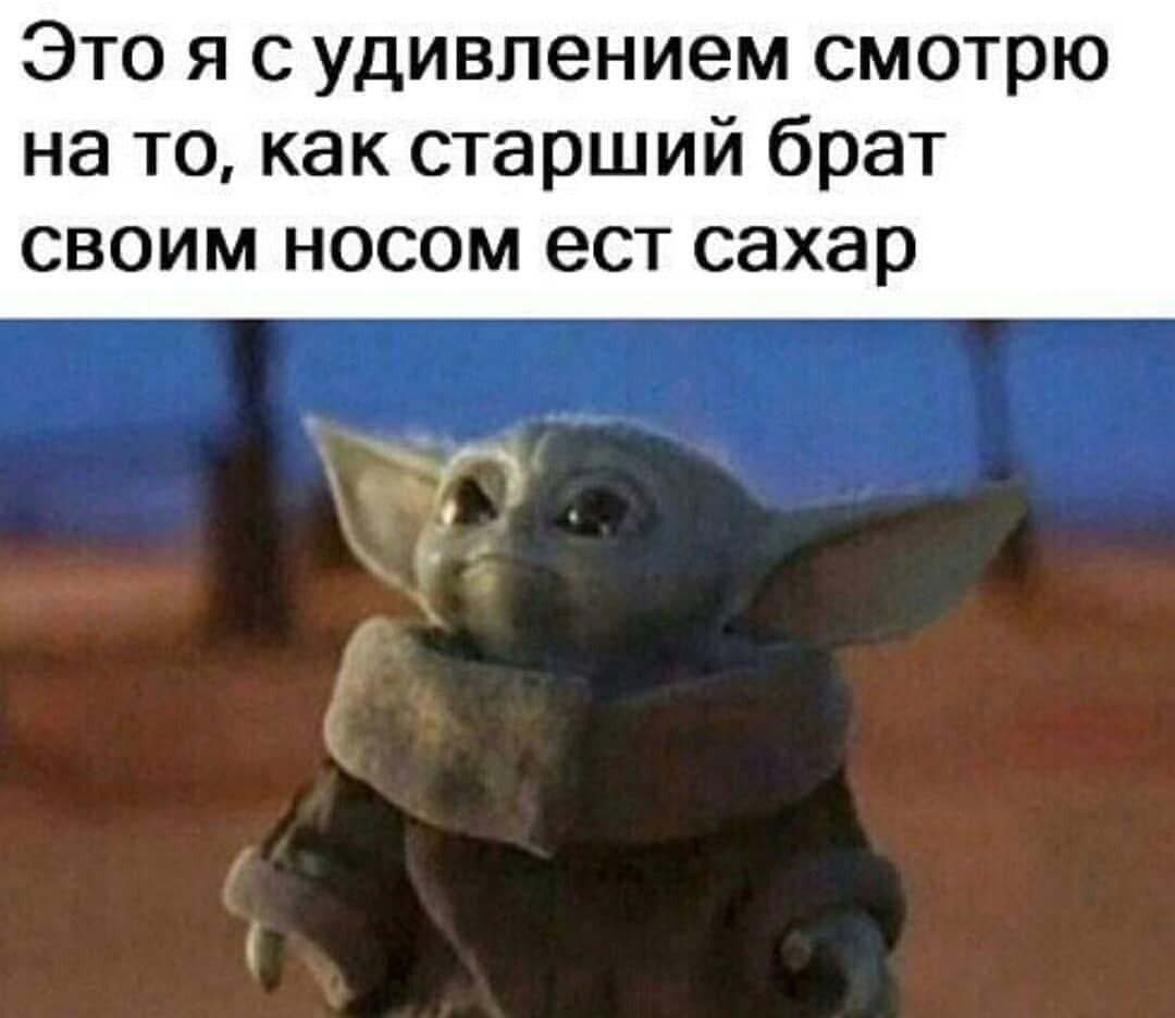 Когда старший брат ест сахар носом, а ты просто в шоке