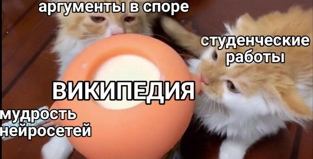 Википедия: главный источник знаний для всех и каждого!