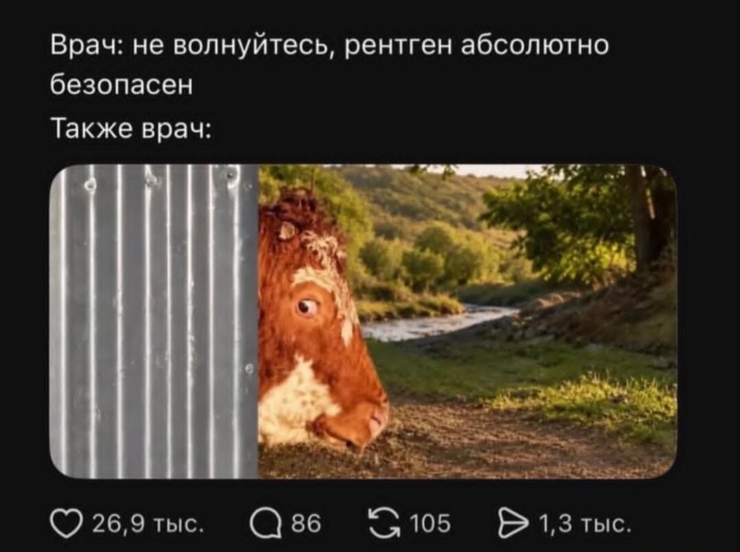 Рентген безопасен? Взгляд врача говорит об обратном!