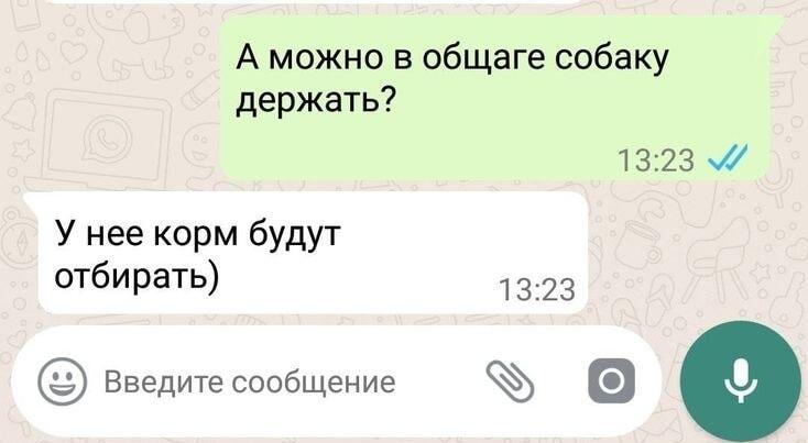 Реалии общаги: голодные студенты отберут у собаки корм!