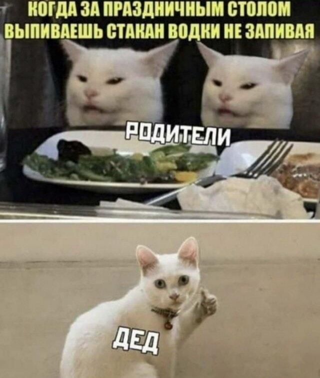 Водка без запивки: дед гордится, а родители в шоке!