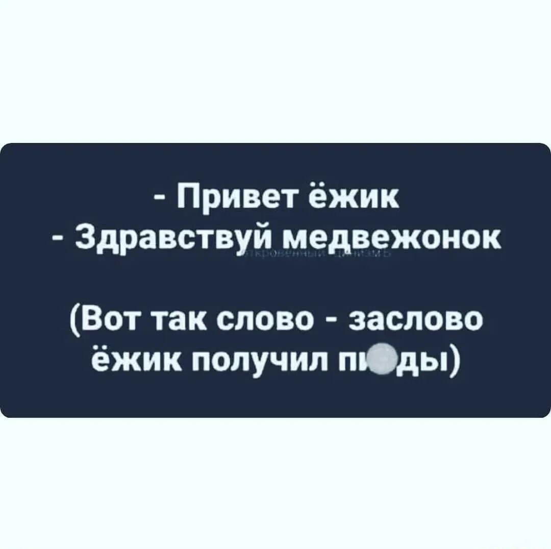 Когда безобидный диалог превращается в драку: Ежик vs Медвежонок