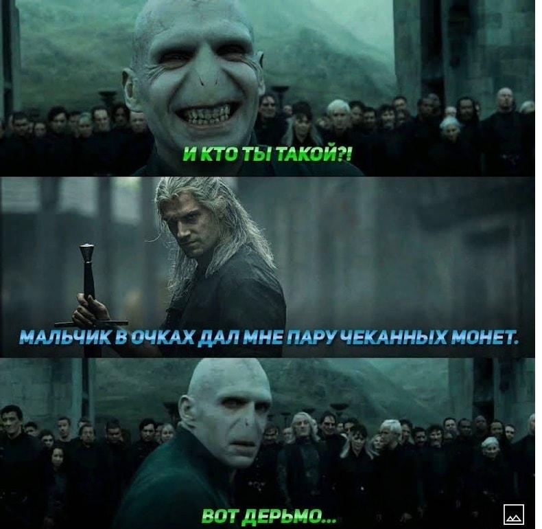 Гарри Поттер нанял Геральта: Волан-де-Морт в шоке от чеканных монет