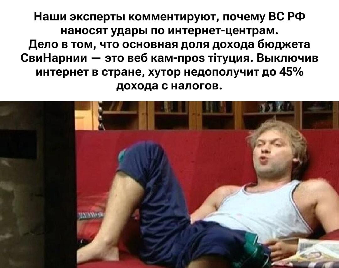 Эксперты объяснили: вот почему бьют по интернету в СвиНарнии!
