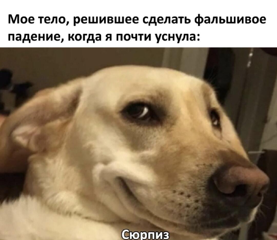 Когда мозг решил подшутить: тот самый «сюрприз» перед сном!