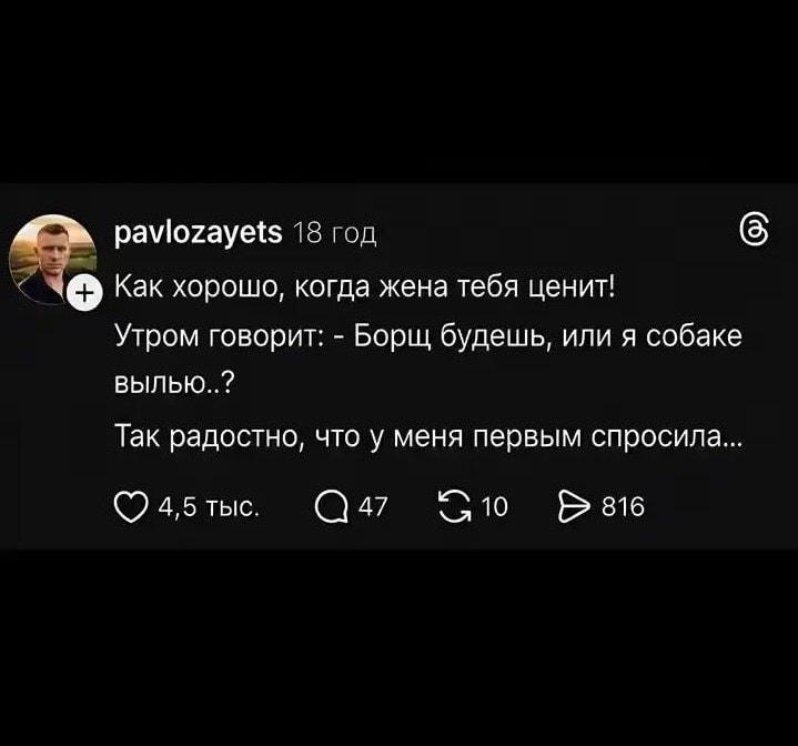 Жена ценит: борщ мужу или собаке? Приоритеты расставлены!