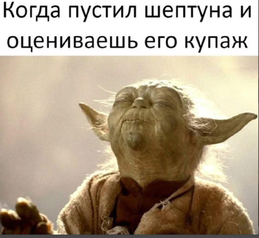 Йода познал Дзен: когда пустил шептуна и оцениваешь его купаж