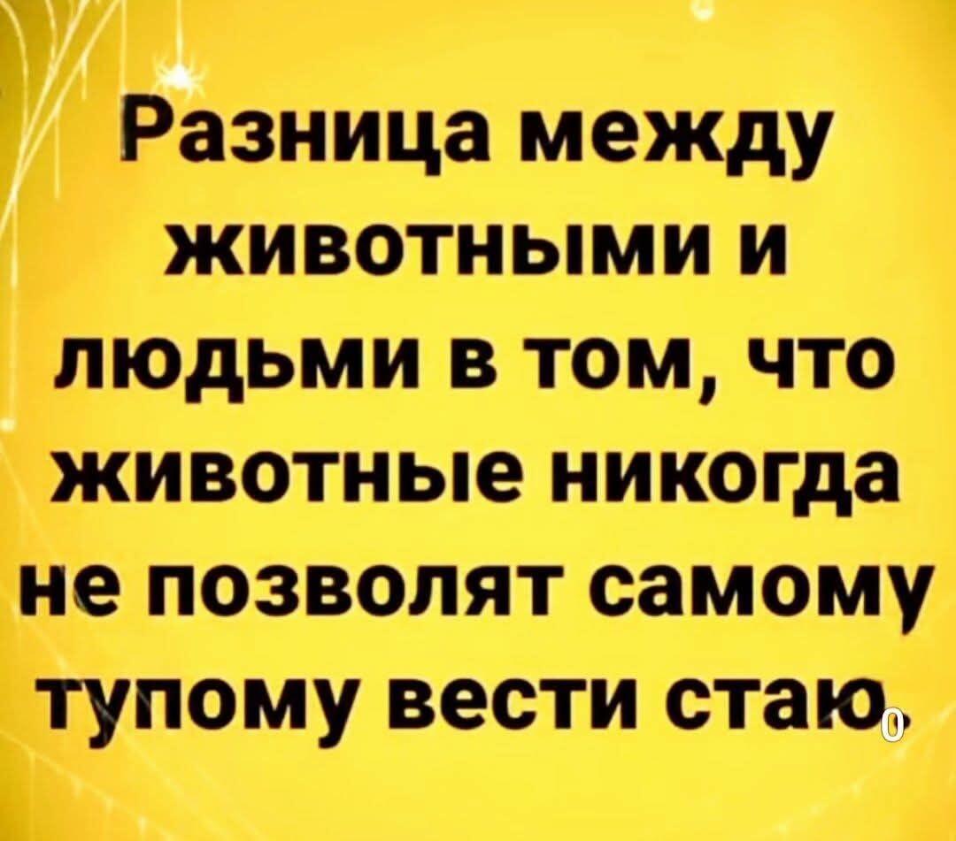 Почему животные умнее людей? Забавная истина про вожаков!