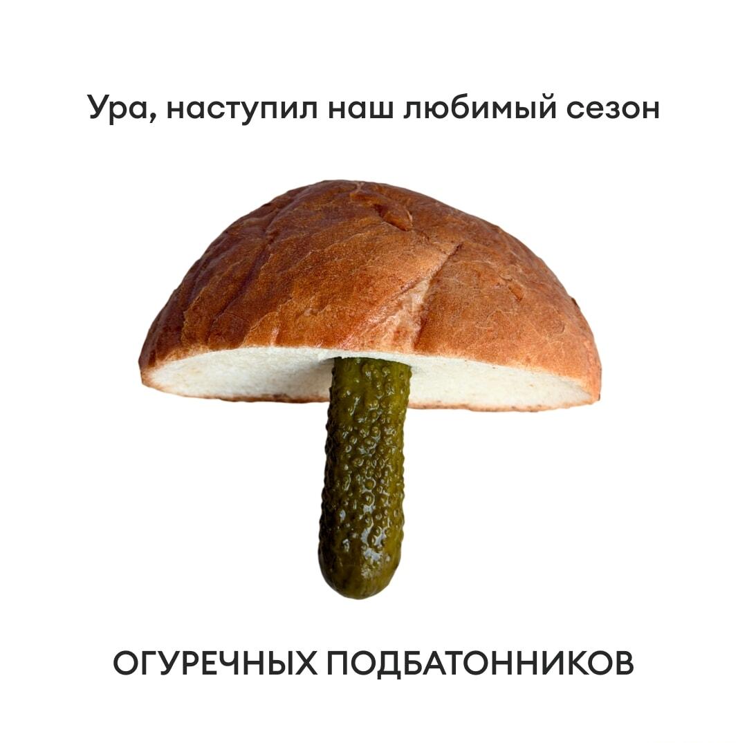 Сезон огуречных подбатонников: готовьте корзинки и батоны!