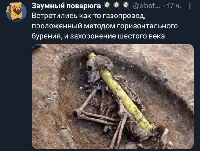 Газопровод сквозь древний череп: когда история встретилась с прогрессом