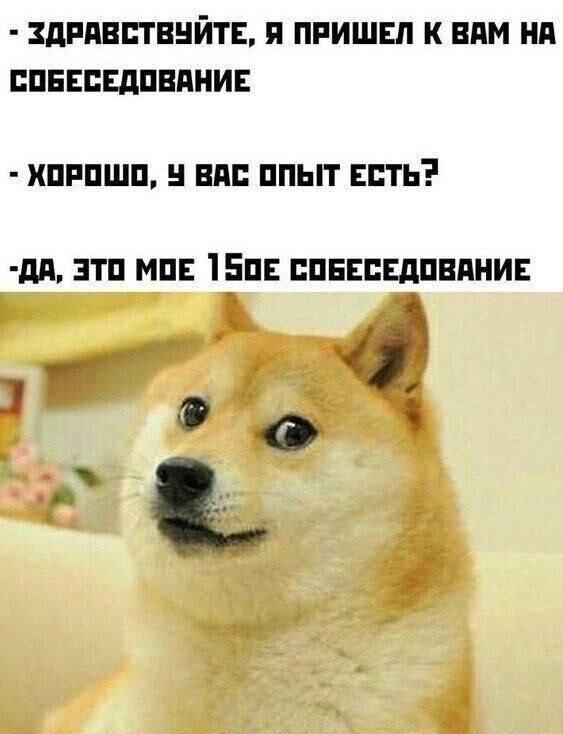 Когда твой главный опыт — это количество собеседований