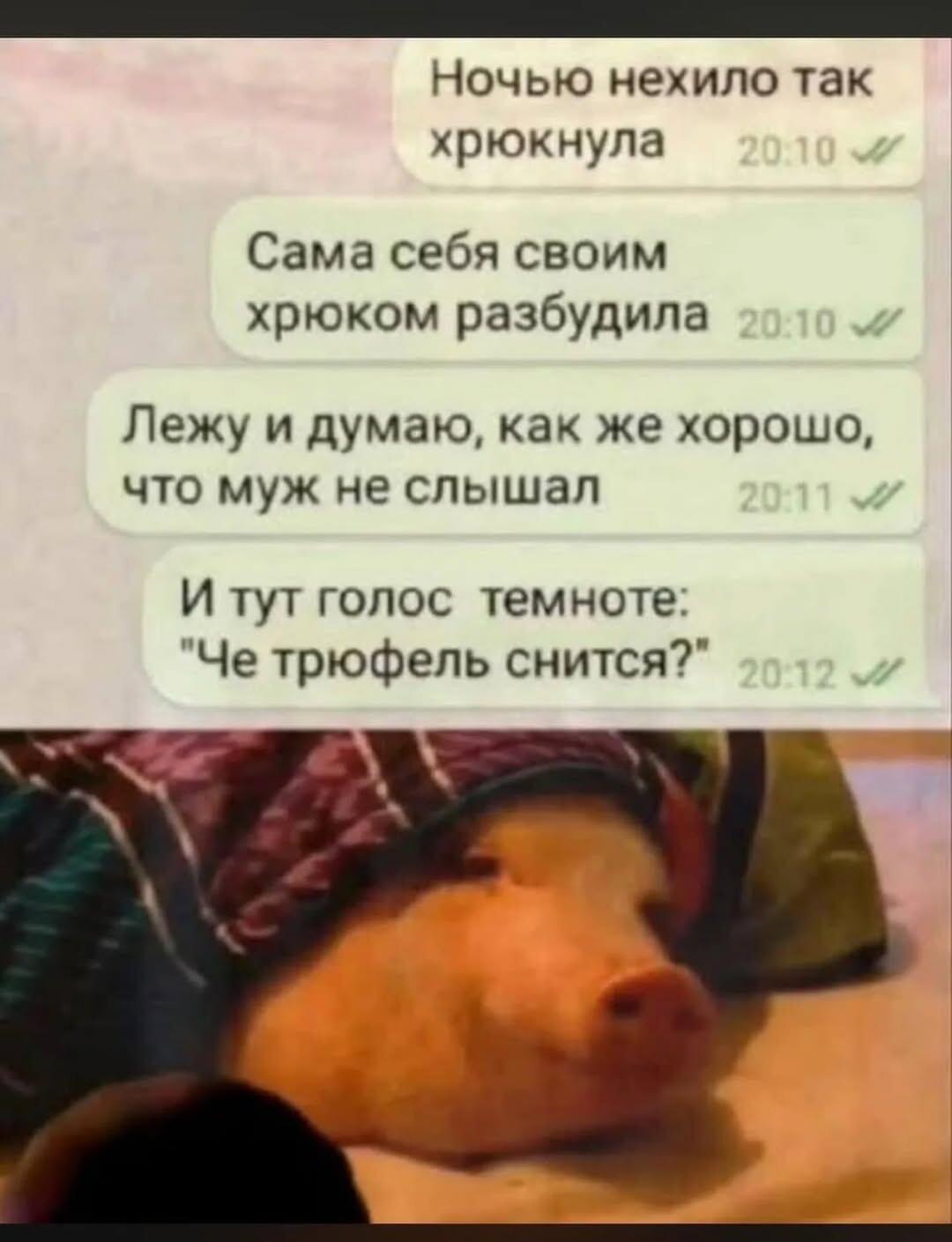 Когда проснулась от своего хрюка, а муж уже шутит про трюфели