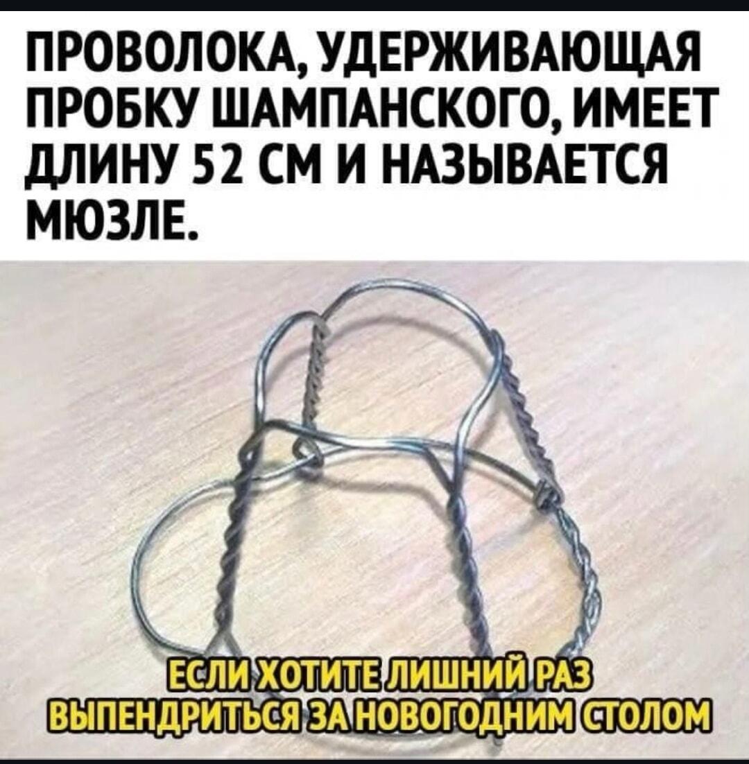 Как выпендриться за новогодним столом: узнай, что такое мюзле!
