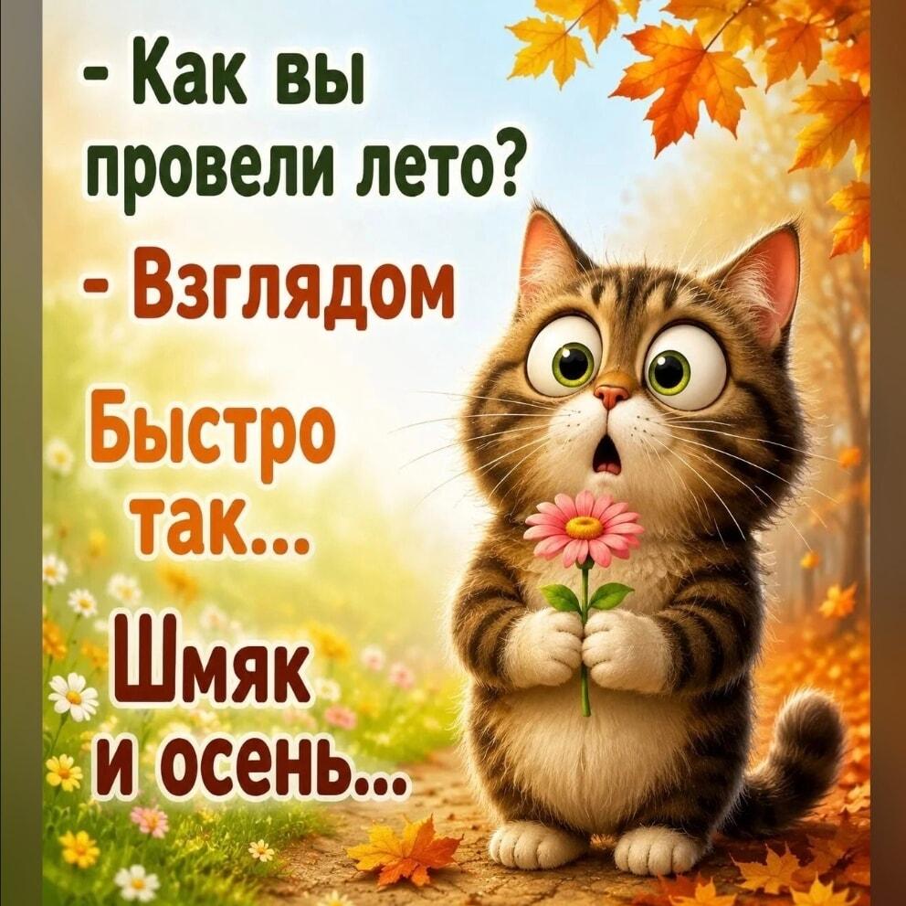 Лето пролетело? Шмяк — и уже осень!
