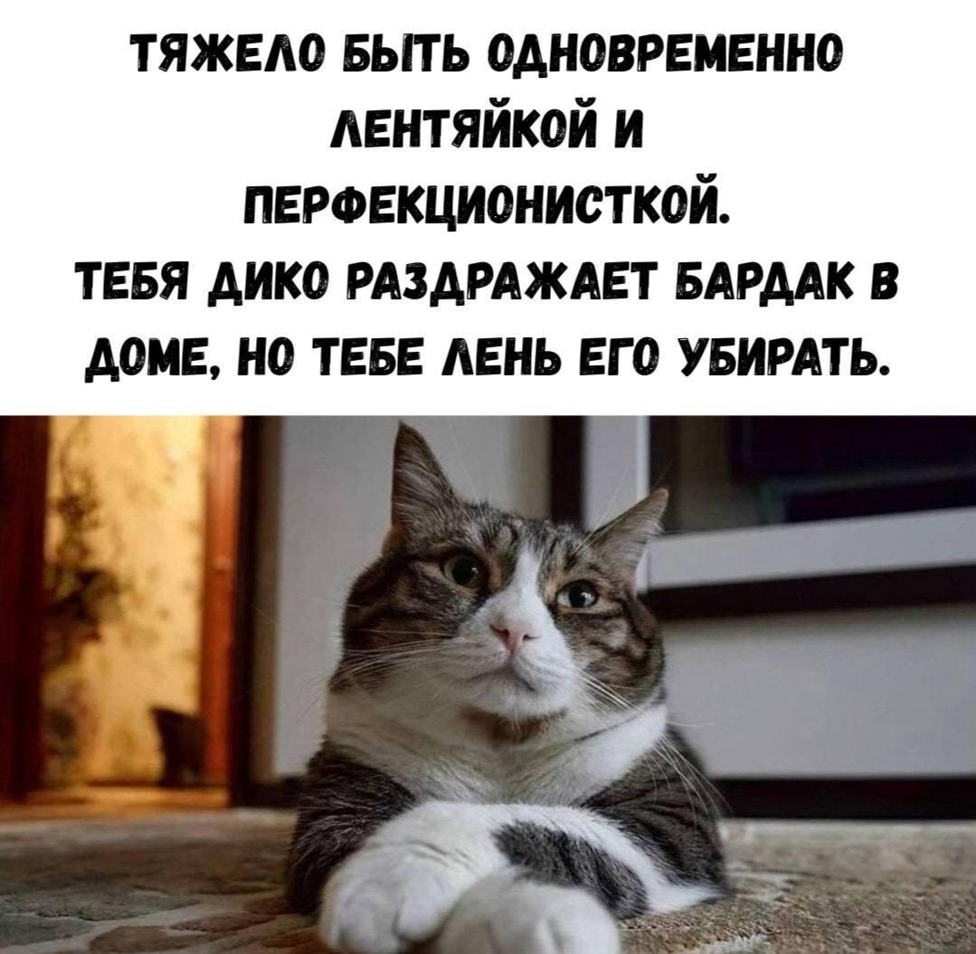 Лень и перфекционизм: когда бардак бесит, но убирать лень